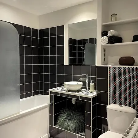 Loft Centre Ideal Renove & Lumineux Roubaix