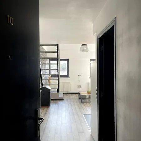 Loft Centre Ideal Renove & Lumineux Roubaix