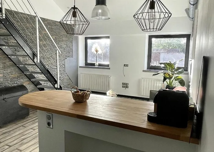 Appartement Loft Centre Idéal Rénové&lumineux